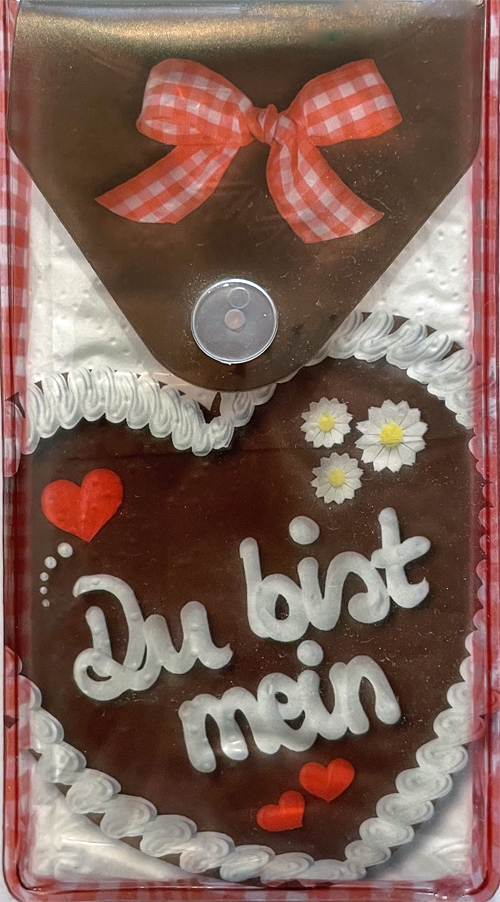 1051 Taschentuch Hülle mit Allgäu/Bayern Motiv