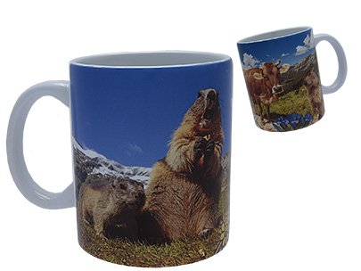 941 Tasse  Allgäuer Alpen Motiv Kuh und Murmele