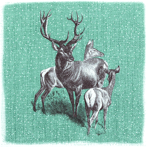 60 Serviette Deer Family