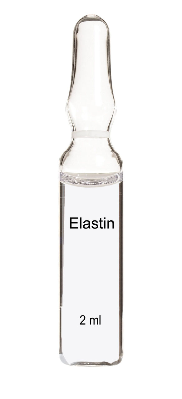 2 Elastin