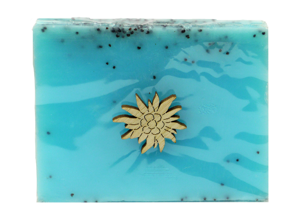 01 Aloe Vera Basic Linie Seife
