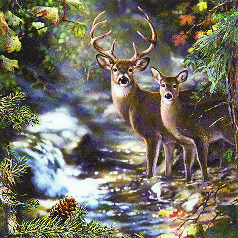 12 Serviette Deers on a Creeck