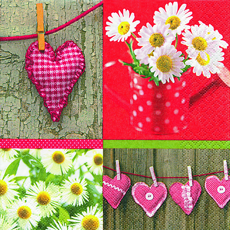 03 Serviette Haerts + Daisis
