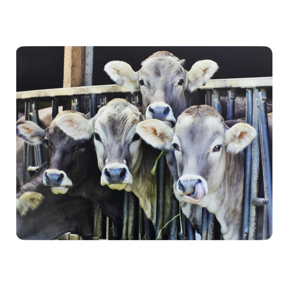 394.02 Kalben im Stall Platzet 
