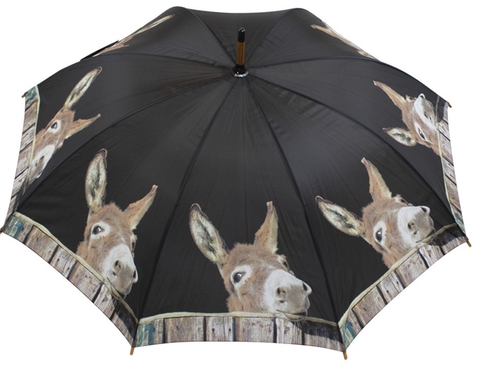 1049 Regenschirm Esel