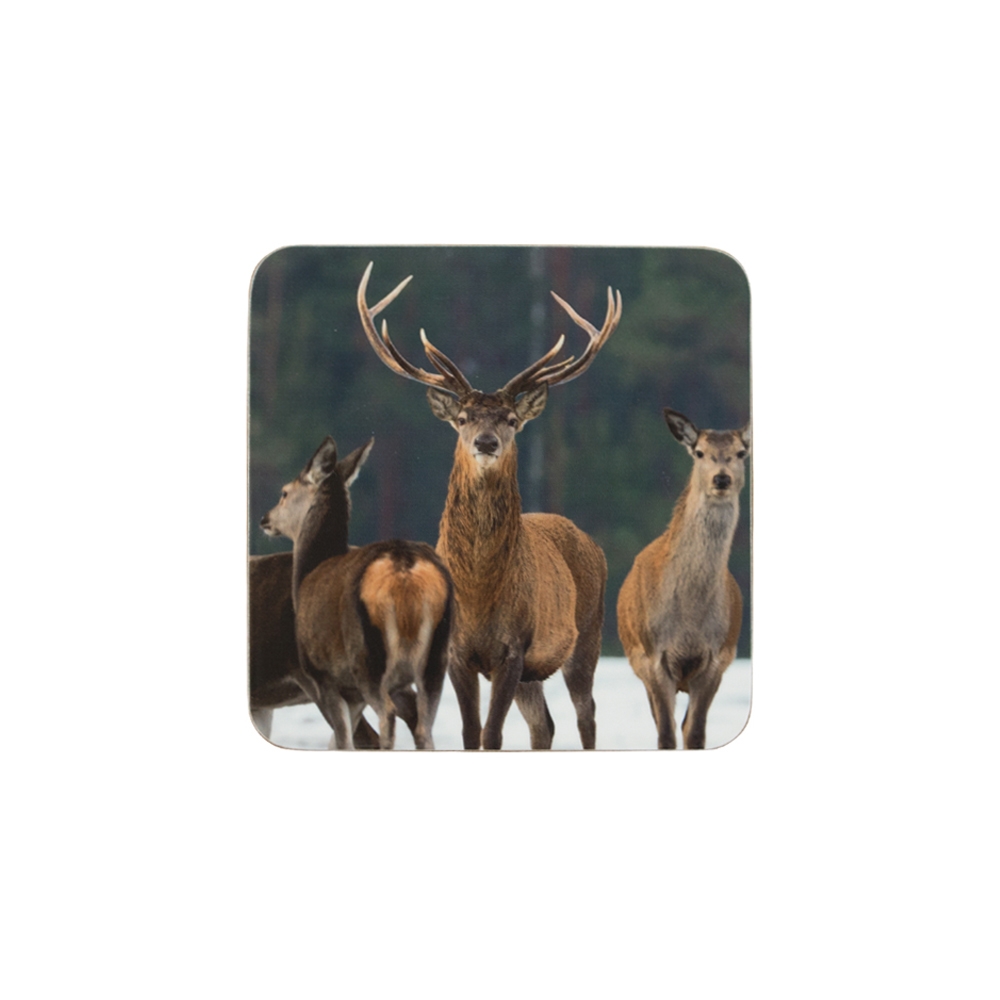 1329 Hirsch Rudel Untersetzer
